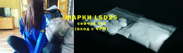 a pvp Алзамай