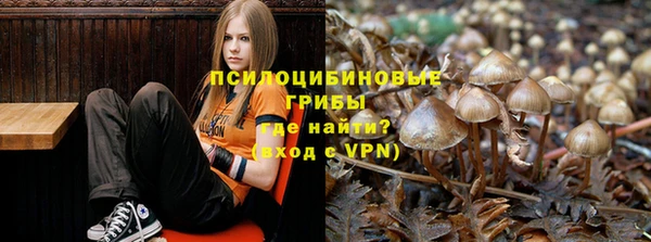 тгк Алексин