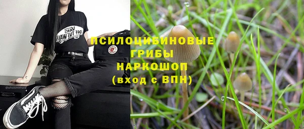 твердый Алексеевка