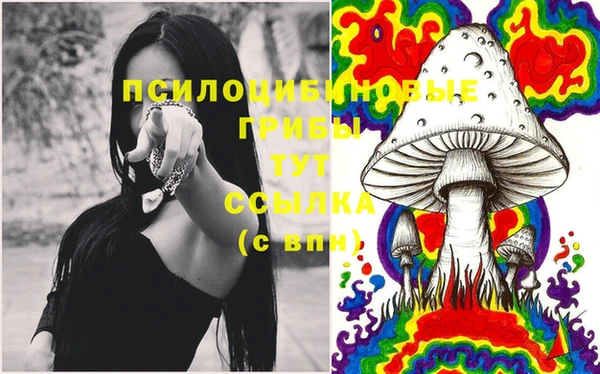 тгк Алексин