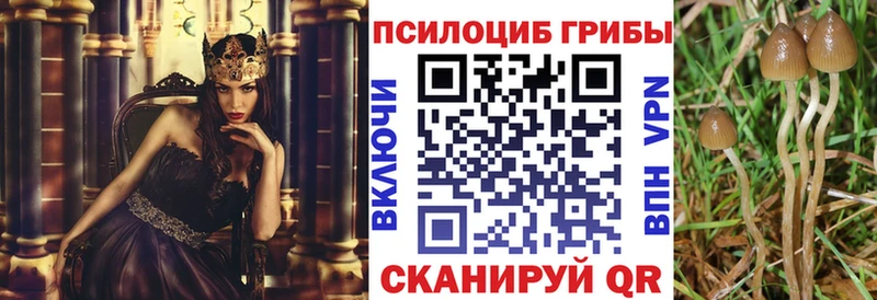 Псилоцибиновые грибы прущие грибы  Зуевка 